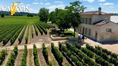 CAVAVIN fête ses 40 ans : entre tradition, passion et innovation