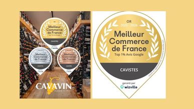 CAVAVIN brille dans le classement WizVille : la satisfaction client avant tout