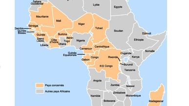 Journée Afrique sub-saharienne au 1er e-congrès de la franchise francophone