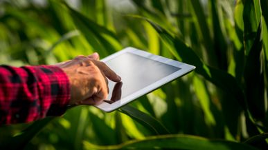 Smart Farm | Premier capteur de sol 100 % tunisien présenté à l’Agri-tech Tunisia : cap sur le Sénégal !