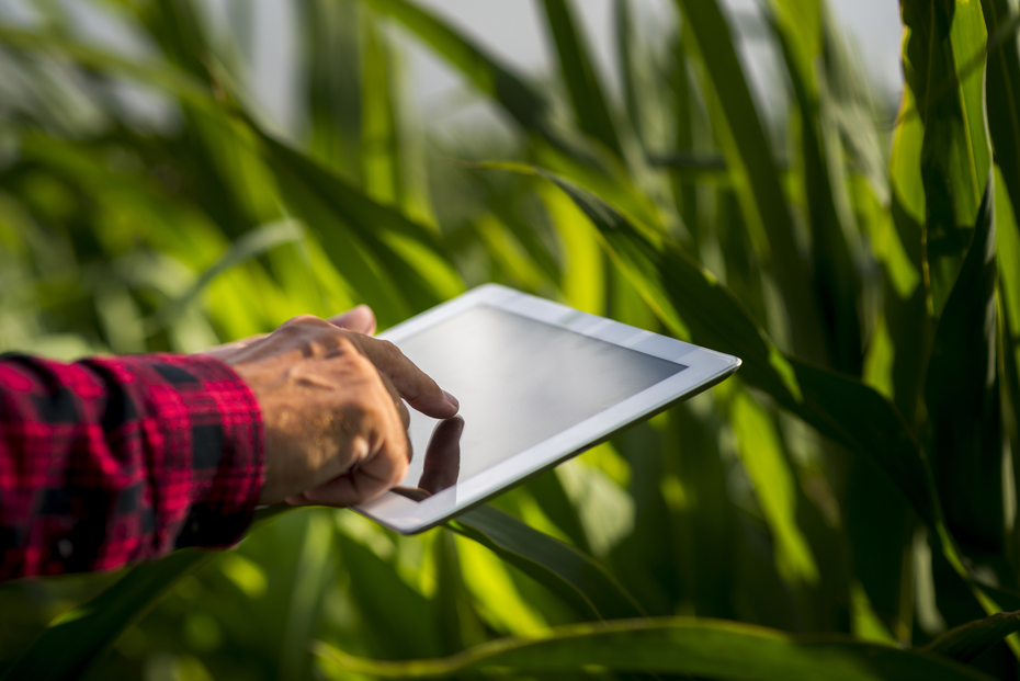 Retour sur 2022 et cap sur 2025 : Smart Farm, moteur de l’innovation agricole tunisienne au Sénégal